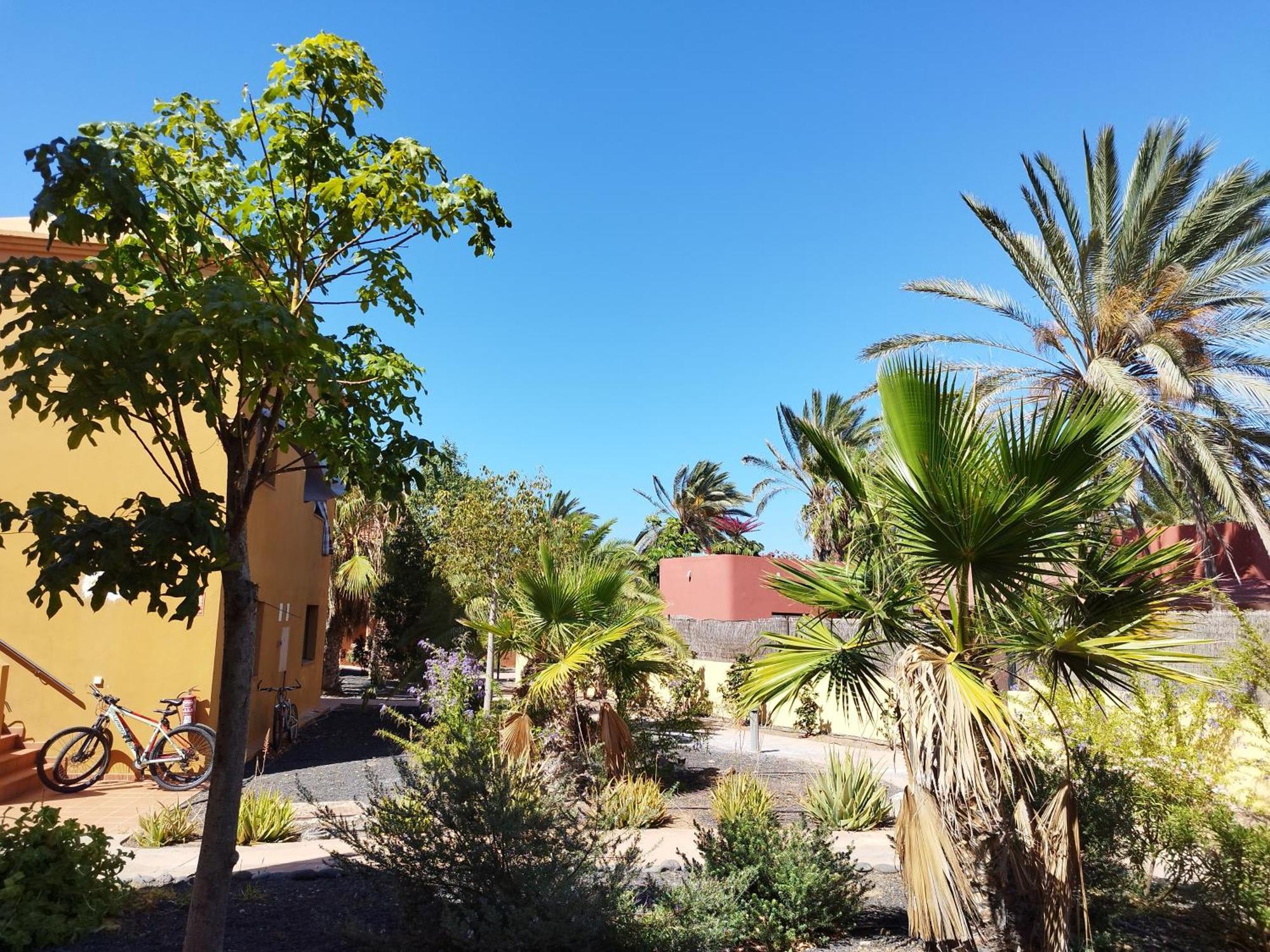 Cozy Apartment In Tamarindo 2 科拉雷侯 外观 照片